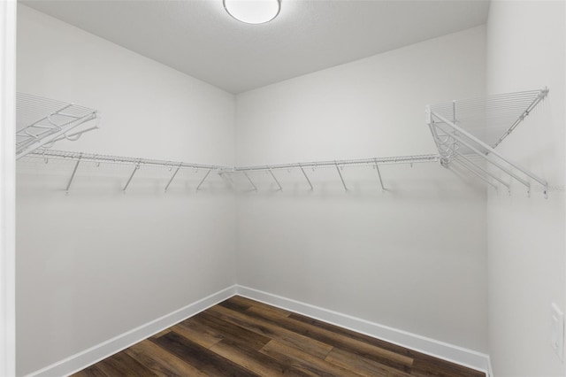 walk in closet featuring dark wood-style flooring