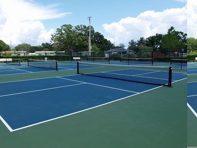 771 Murphy Ave N, Saint Petersburg, FL 33703 - photo 59