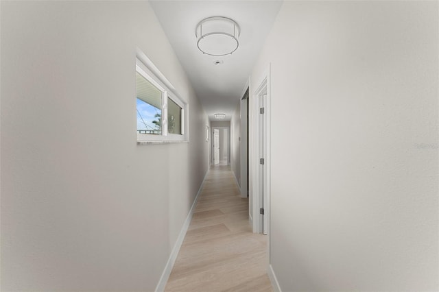 11050 7th St E, Treasure Island, FL 33706 - photo 65