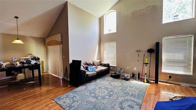 living area with baseboards, high vaulted ceiling, and wood finished floors