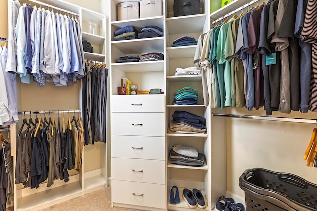 spacious closet with carpet