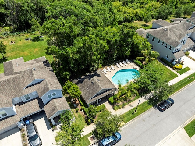 bird's eye view