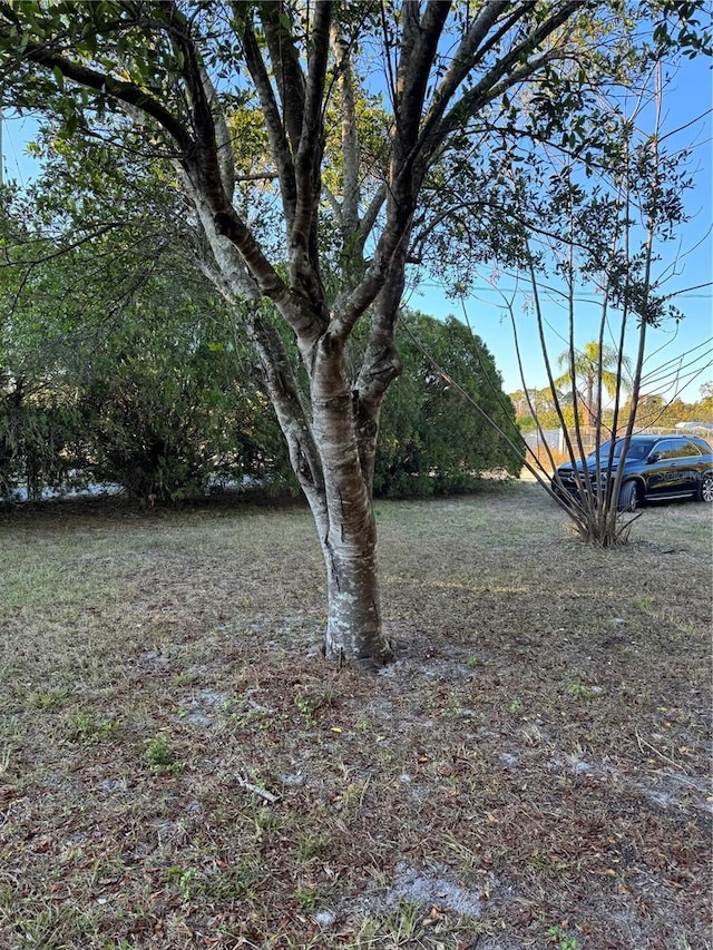 9900 Ideal Ln, Hudson, FL 34667 - view of yard