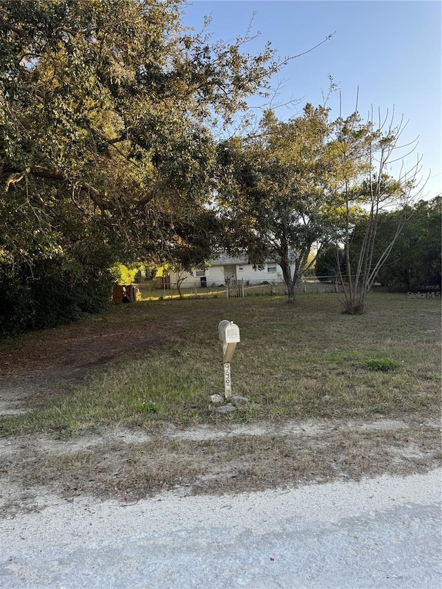9900 Ideal Ln, Hudson, FL 34667 - view of yard