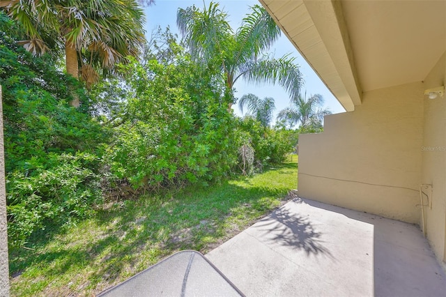 view of yard featuring a patio area