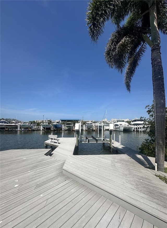 1311 Sea Gull Dr S, Saint Petersburg, FL 33707 - photo 9