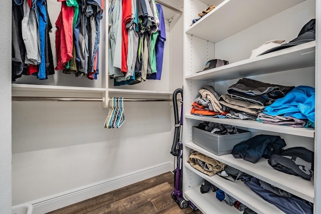 spacious closet featuring dark wood-type flooring