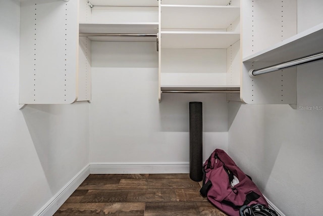 walk in closet with dark wood-style flooring