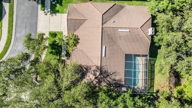drone / aerial view