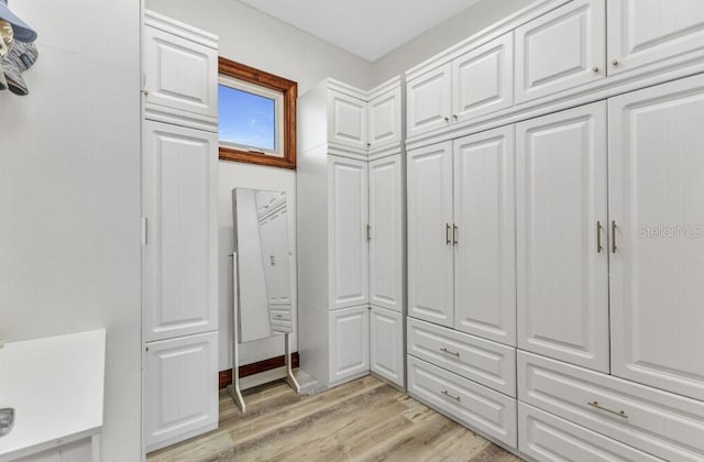 107 Sunset Dr, Nokomis, FL 34275 - walk in closet with light wood-style flooring