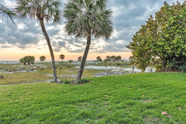 yard at dusk with a water view
