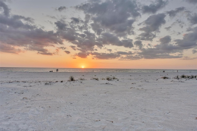 property view of water featuring a beach view