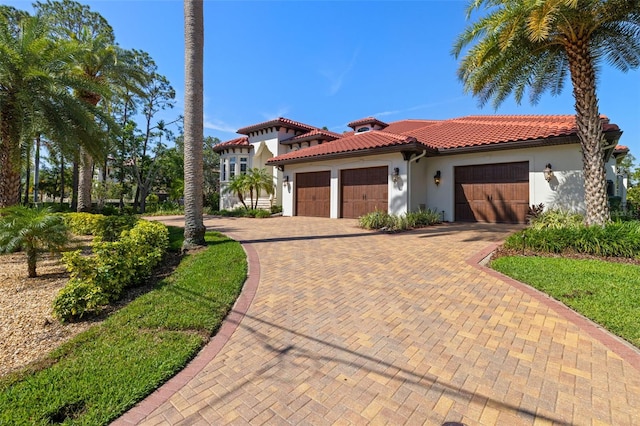 2613 N Dundee St, Tampa, FL 33629 - photo 2