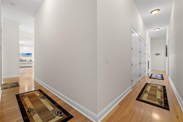 2613 N Dundee St, Tampa, FL 33629 - photo 38