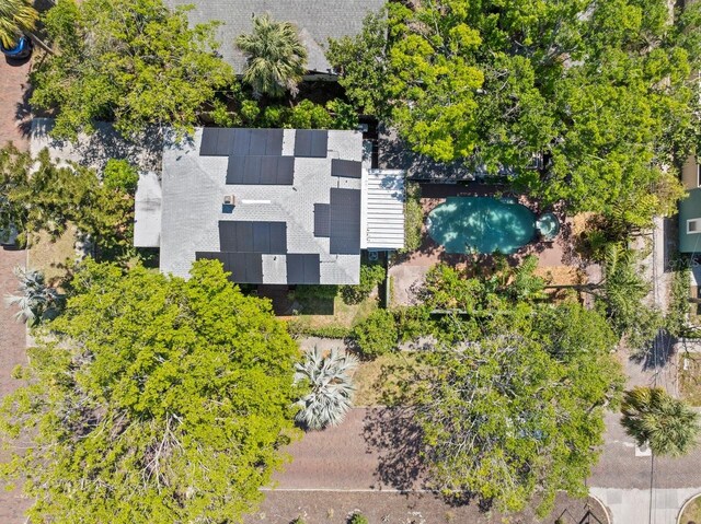 bird's eye view