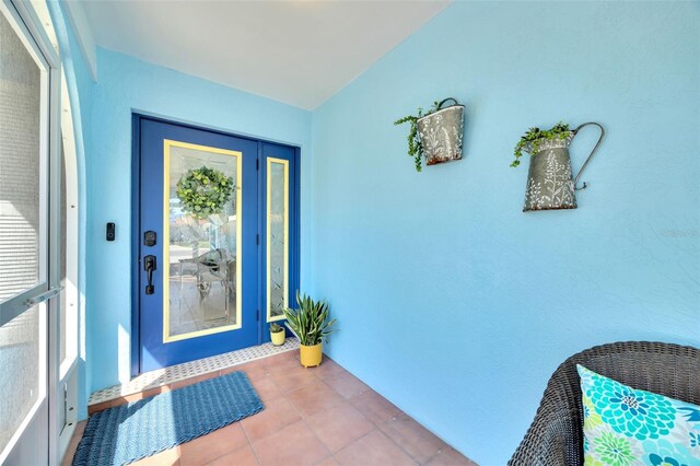 1015 Spindle Palm Way, Apollo Beach, FL 33572 - property entrance with stucco siding