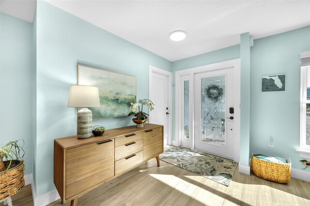 1015 Spindle Palm Way, Apollo Beach, FL 33572 - entryway with light wood-style floors and baseboards