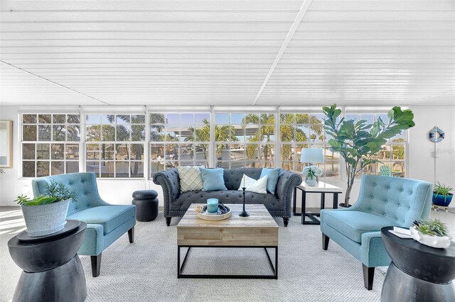 1015 Spindle Palm Way, Apollo Beach, FL 33572 - sunroom with carpet flooring