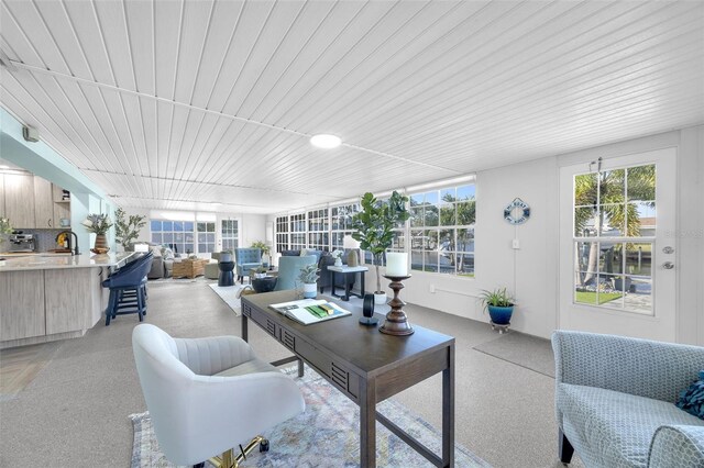 1015 Spindle Palm Way, Apollo Beach, FL 33572 - living room with wood ceiling
