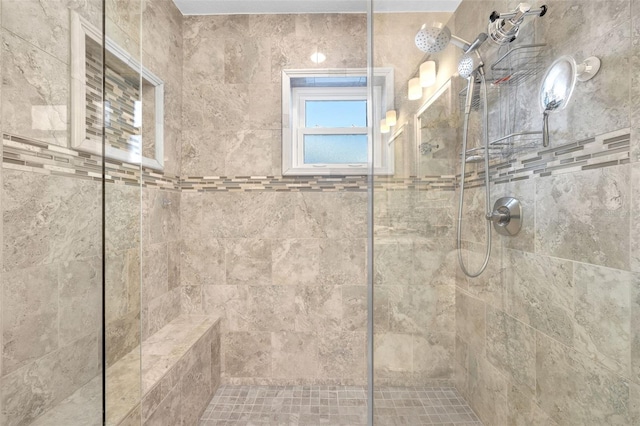 1015 Spindle Palm Way, Apollo Beach, FL 33572 - full bathroom with tiled shower