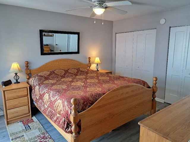 bedroom featuring wood finished floors, a ceiling fan, and two closets