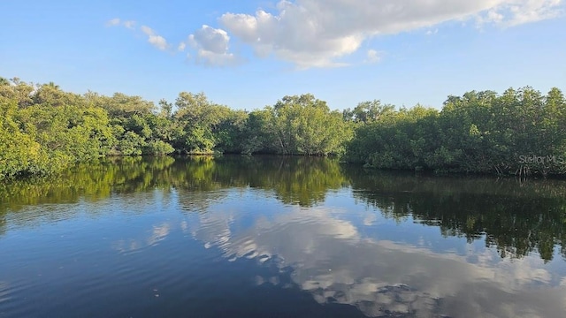 view of water feature featuring a wooded view