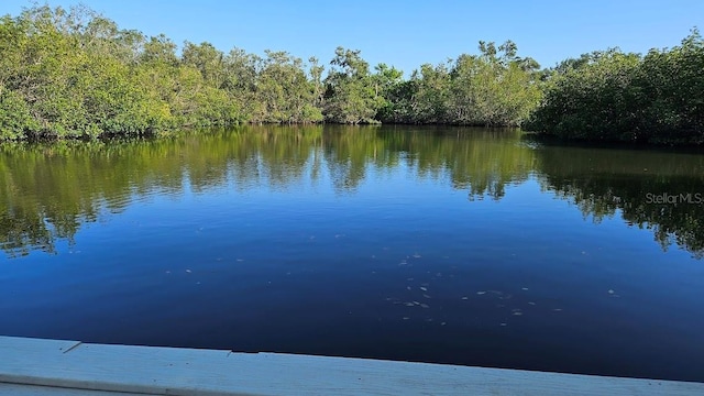 dock area with a forest view and a water view