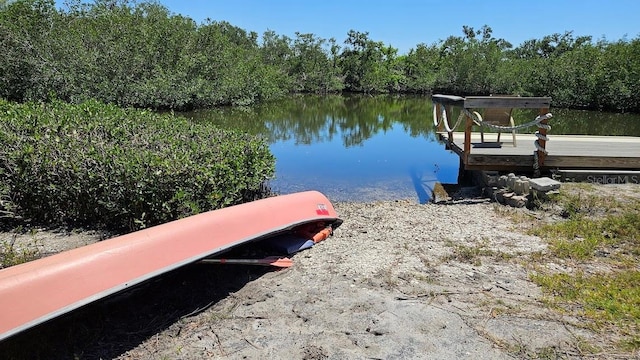 dock area with a water view