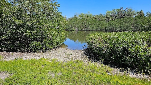 6904 11th Ave E, Palmetto, FL 34221 - water view