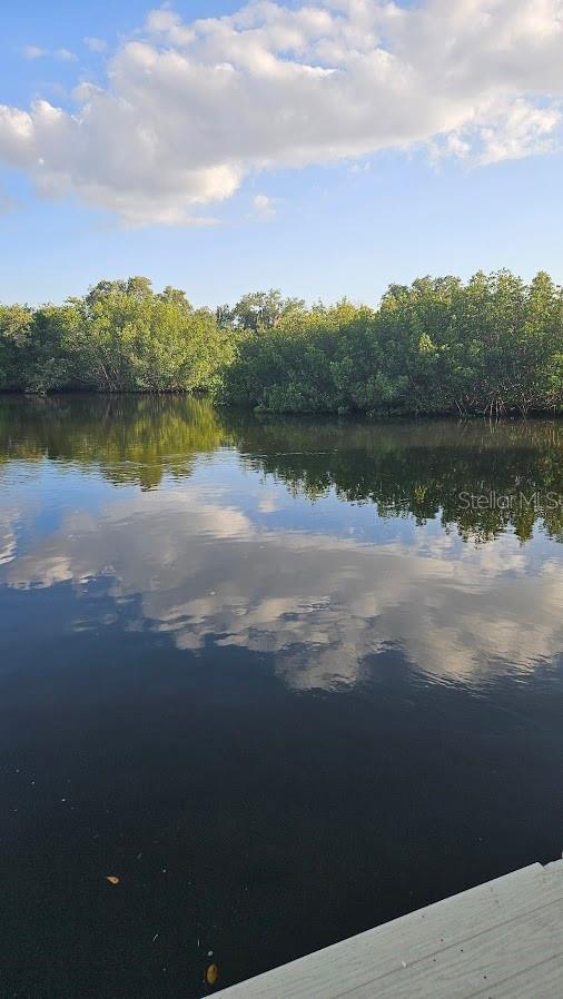6904 11th Ave E, Palmetto, FL 34221 - water view with a heavily wooded area