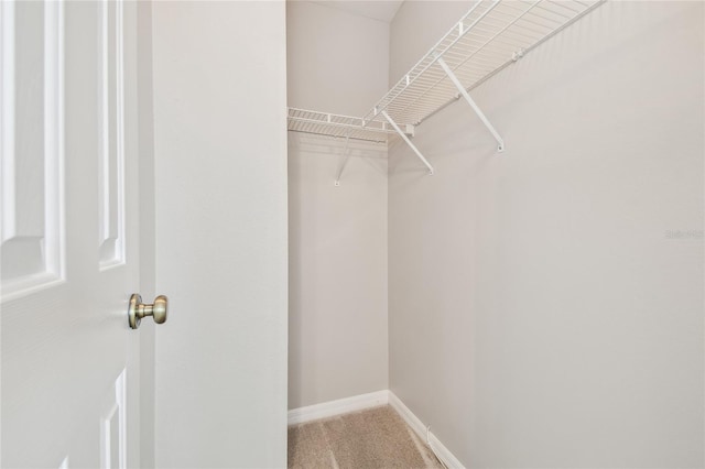 spacious closet with carpet