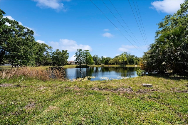 1033 Hammock Cir, Tarpon Springs, FL 34688 - photo 58