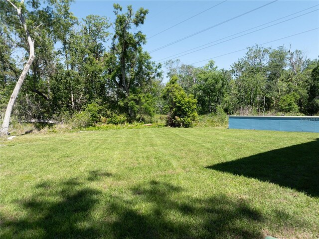 1033 Hammock Cir, Tarpon Springs, FL 34688 - photo 59