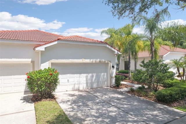 10260 Devonshire Lake Dr, Tampa, FL 33647 - photo 21