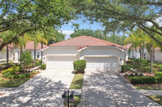 10260 Devonshire Lake Dr, Tampa, FL 33647 - photo 22