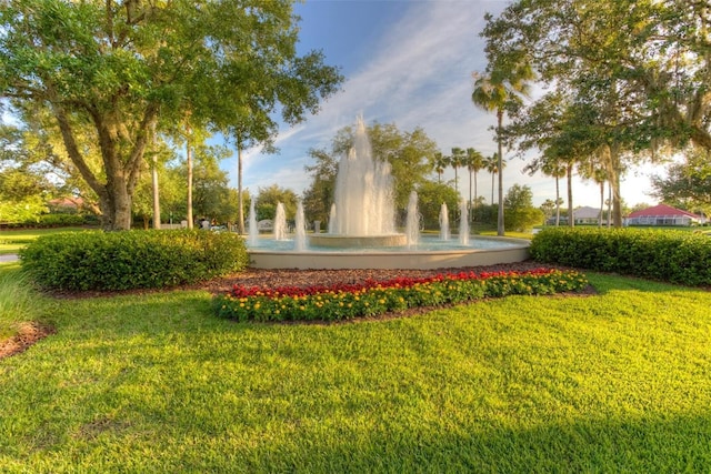 10260 Devonshire Lake Dr, Tampa, FL 33647 - photo 24