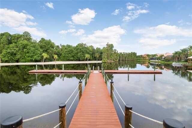 10260 Devonshire Lake Dr, Tampa, FL 33647 - photo 30