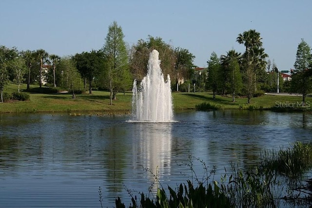 10260 Devonshire Lake Dr, Tampa, FL 33647 - photo 32