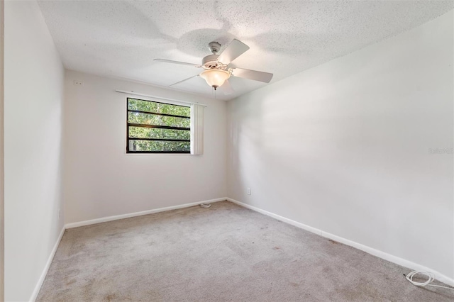 15808 Willowdale Rd, Tampa, FL 33625 - spare room featuring carpet floors, a ceiling fan, and a textured ceiling
