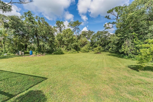 15808 Willowdale Rd, Tampa, FL 33625 - view of grassy yard