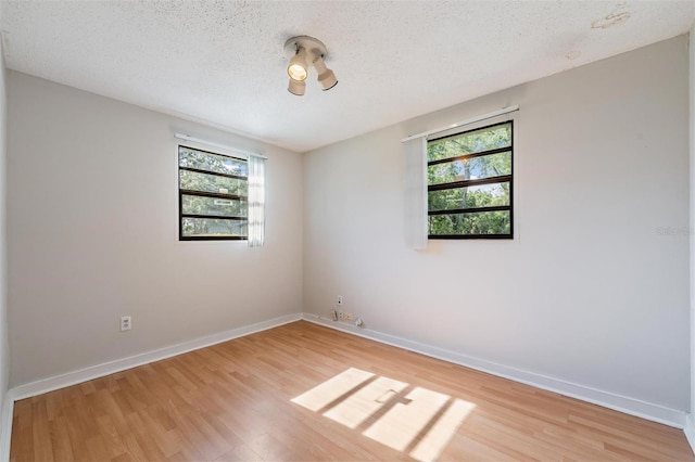 15808 Willowdale Rd, Tampa, FL 33625 - unfurnished room featuring plenty of natural light, light wood-type flooring, and a textured ceiling