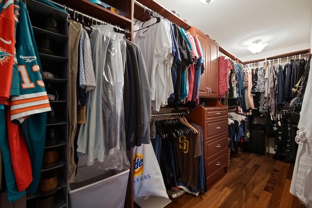 walk in closet featuring dark wood-style floors