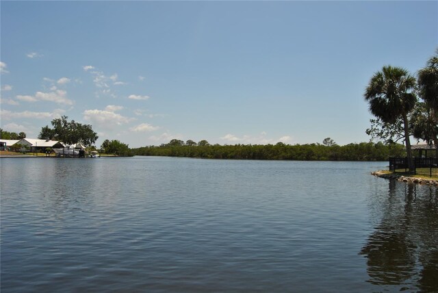 119 18th St NW, Ruskin, FL 33570 - photo 20