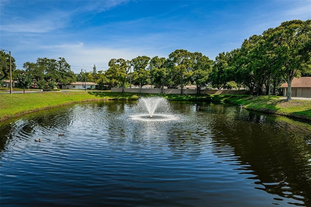 view of water feature