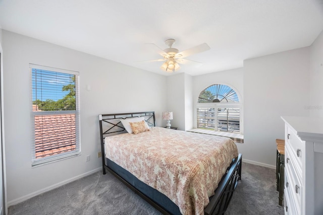 4815 Queen Palm Ter NE, Saint Petersburg, FL 33703 - bedroom with multiple windows, dark colored carpet, and a ceiling fan