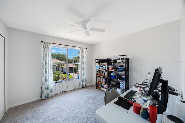 4815 Queen Palm Ter NE, Saint Petersburg, FL 33703 - home office featuring carpet and ceiling fan