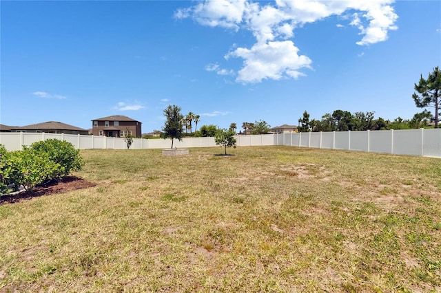 13506 Wild Ginger St, Riverview, FL 33579 - view of yard