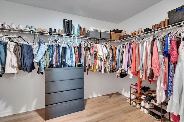 13506 Wild Ginger St, Riverview, FL 33579 - spacious closet with wood finished floors