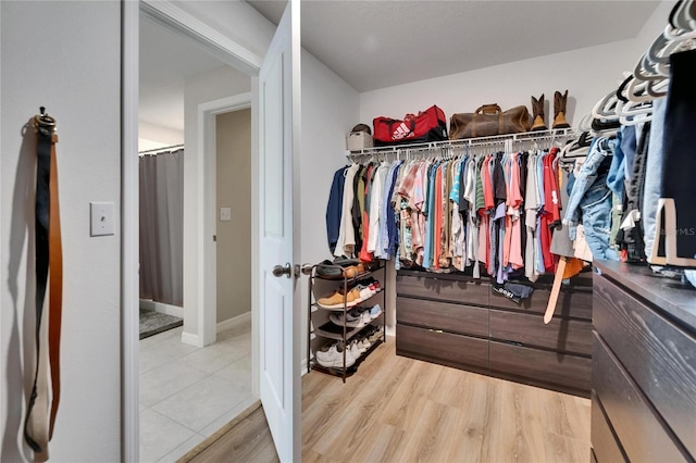 13506 Wild Ginger St, Riverview, FL 33579 - spacious closet with light wood-type flooring
