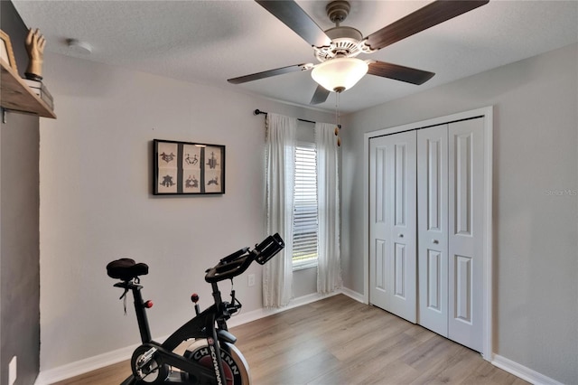 13506 Wild Ginger St, Riverview, FL 33579 - workout area featuring light wood finished floors and a ceiling fan
